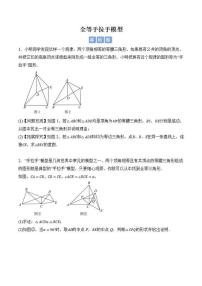 【专项练】全等手拉手模型-北师大版初中数学七年级下册期末专项（原卷版+解析版）