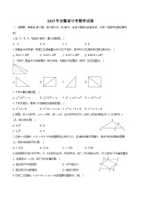 2025年安徽省中考数学试卷（含答案）