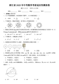 浙江省2025年中考数学考前适应性模拟卷  含答案