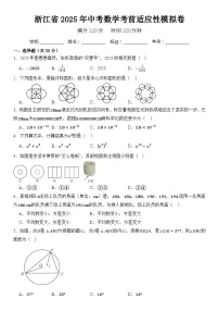 浙江省2025年中考数学考前适应性模拟卷 含答案