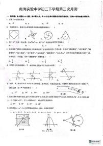 广东省佛山市南海区南海实验中学2024-2025学年九年级下学期6月月考数学试题