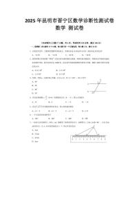 2025年云南省昆明市晋宁区中考模拟考试数学试题（中考模拟）