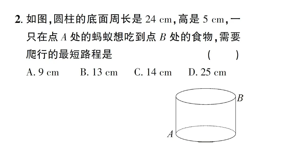 初中数学新华东师大版八年级上册13.2第1课时 勾股定理的实际应用作业课件(2025秋)第3页