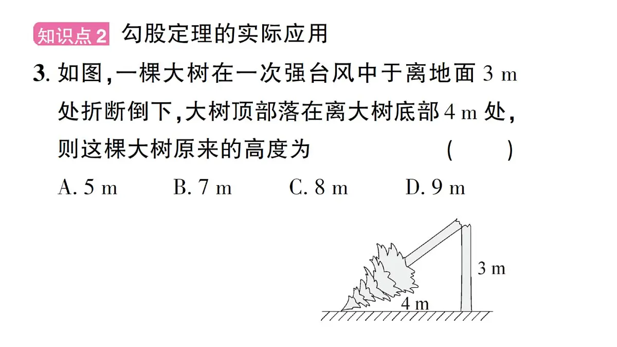 初中数学新华东师大版八年级上册13.2第1课时 勾股定理的实际应用作业课件(2025秋)第4页