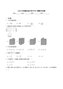 安徽省池州市2024届九年级下学期中考三模数学试卷(含答案)