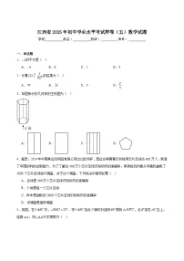 江西省2025届初中学业水平考试(五)数学试卷(含解析)