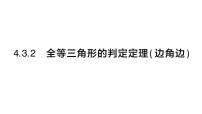 湘教版（2024）八年级上册（2024）4.3 全等三角形作业ppt课件