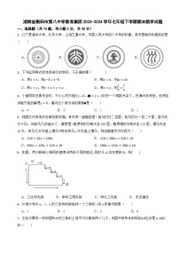 湖南省衡阳市第八中学教育集团2023-2024学年七年级下学期期末数学试题