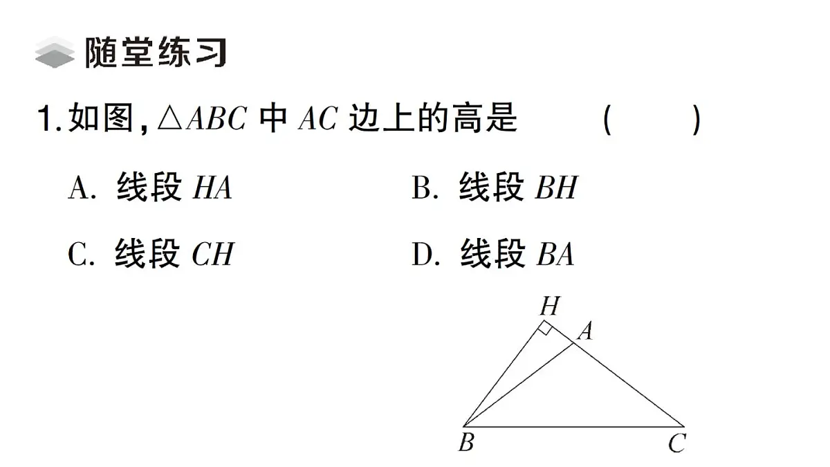 初中数学新湘教版八年级上册4.1第2课时 三角形的高、角平分线和中线课堂作业课件(2025秋)第4页