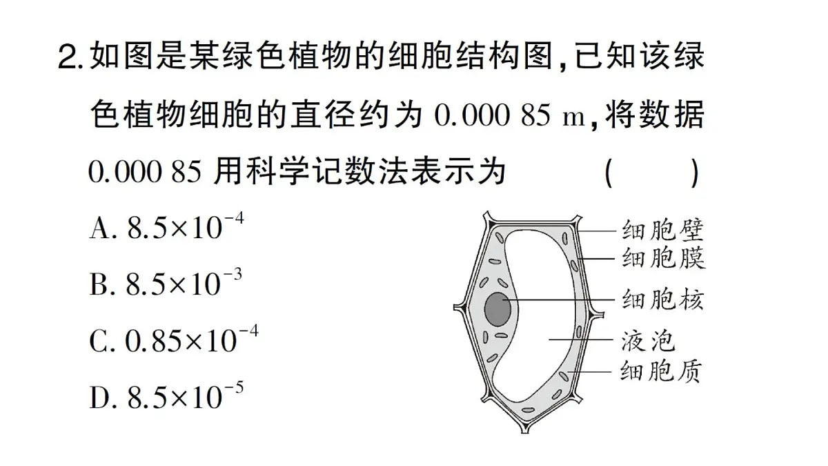 初中数学新湘教版八年级上册第2章阶段小测(四)(第2章)作业课件(2025秋)第3页