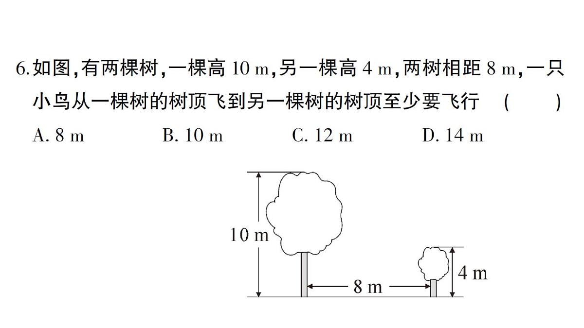 初中数学新湘教版八年级上册第5章综合训练作业课件(2025秋)第6页