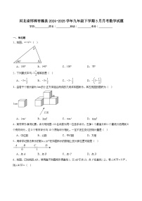 河北省邯郸市魏县2025届九年级下学期3月月考数学试卷(含解析)