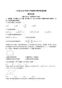 四川省绵阳市三台县2024-2025学年八年级下学期4月期中考试数学试卷(含答案）