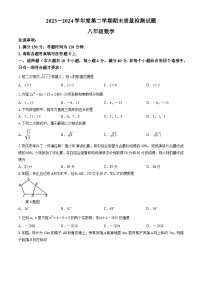 【八下HK数学】安徽省安庆市桐城市2023-2024学年八年级下学期期末数学试题