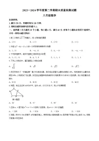 【八下HK数学】安徽省安庆市桐城市2023-2024学年八年级下学期期末数学试题