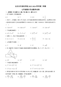 安徽省安庆市大观区安庆市外国语学校2023-2024学年七年级下学期期末数学试题