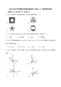湖南省常德市桃源县2023-2024学年八年级下学期期末考试数学试卷(含答案)