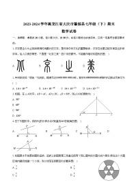 黑龙江省大庆市肇源县2023-2024学年七年级下学期期末考试数学试卷(含答案)