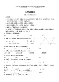 湖南省长沙市望城区2023-2024学年七年级下学期7月期末考试数学试卷(含答案)