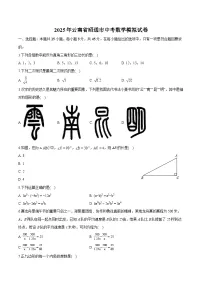 云南省昭通市2025届中考 数学模拟试卷