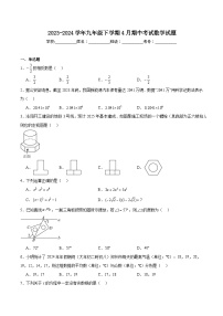 河南省郑州市2024届九年级下学期4月期中考试数学试卷(含解析)