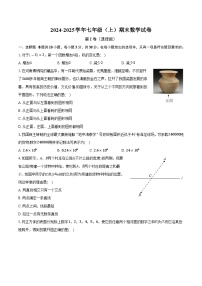 河南省郑州市新密市、荥阳市2024-2025学年七年级上学期期末数学试卷(含解析)