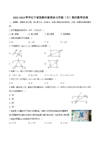 辽宁省抚顺市新宾县2023-2024学年七年级下学期期末考试数学试卷(含答案)