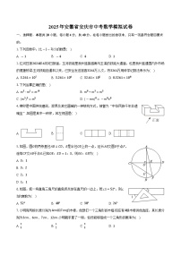 2025年安徽省安庆市中考数学模拟试卷