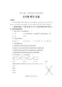 河南省郑州市巩义市2023-2024学年七年级下学期期末质量检测数学试卷(含答案)
