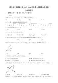 2024年师大附中梅溪湖中学七年级下册期末数学试卷