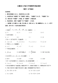 安徽省亳州市利辛县2023-2024学年七年级下学期期中数学试题