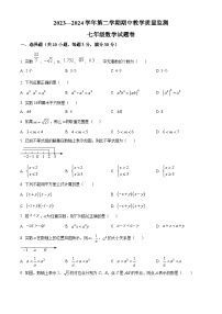 安徽省合肥市2023-2024学年七年级下学期期中数学试题