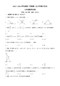 安徽省铜陵市第十五中学等2023-2024学年七年级下学期期中数学试题