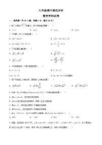 安徽省合肥市庐阳区合肥市第四十二中学2023-2024学年八年级下学期期中数学试题