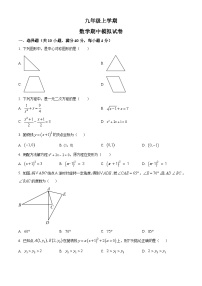 九年级上学期期中数学试题(人教版)