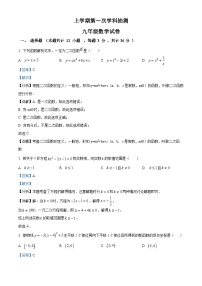 九年级上学期期中数学试题(人教版)