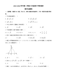 安徽省芜湖市无为市2023-2024学年八年级下学期期中数学试题