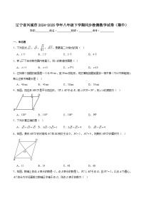 辽宁省葫芦岛市兴城市2024-2025学年八年级下学期期中考试数学试卷(含解析)