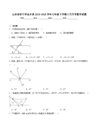 山东省济宁市金乡县2024-2025学年七年级下学期3月月考数学试卷(含解析)