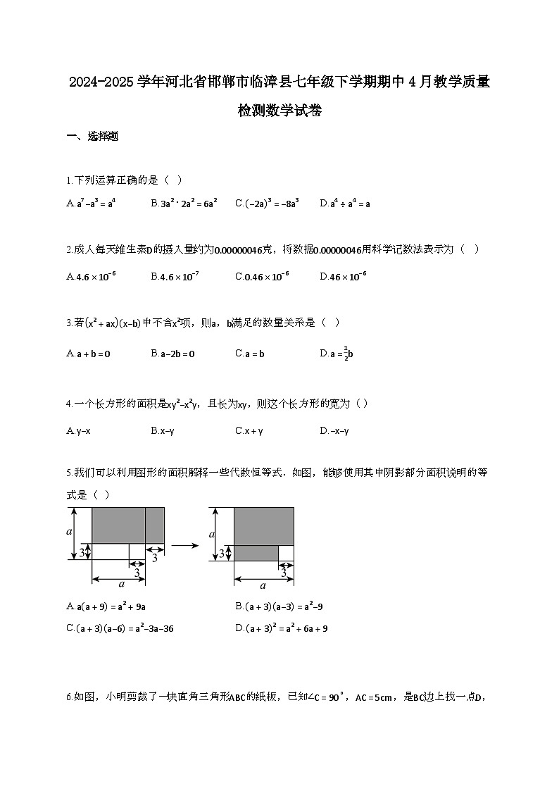 2024~2025学年河北邯郸临漳县七年级下册期中4月教学质量检测数学试题第1页