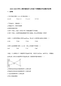 2024~2025学年上海嘉定区七年级下册期末考试数学试题
