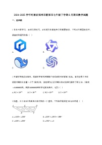 2024_2025学年 河南省郑州市新郑市七年 级下学期6月期末数学试卷