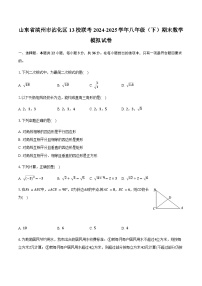 山东省滨州市沾化区13校联考2024-2025学年八年级（下）期末数学模拟试卷