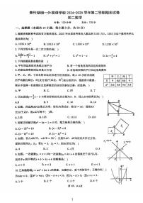 2024-2025学年青竹湖湘一外国语学校八年级(下)期末数学试卷