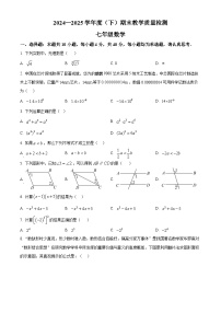 安徽省合肥市肥西县2024-2025学年七年级下学期期末数学试卷