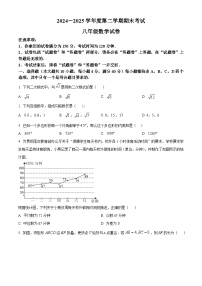 安徽省合肥市第三十八中学北校2024—2025学年下学期八年级数学期末试卷