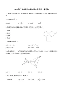 2025年广东省惠州市惠城区中考数学二模试卷（含答案）