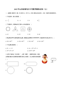 2025年山东省青岛市中考数学模拟试卷（七）（含答案）