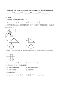 河南省商丘市2025届九年级下学期第三次联考数学试卷(含解析)