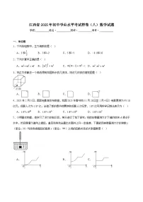 江西省2025届初中学业水平考试(八)数学试卷(含解析)
